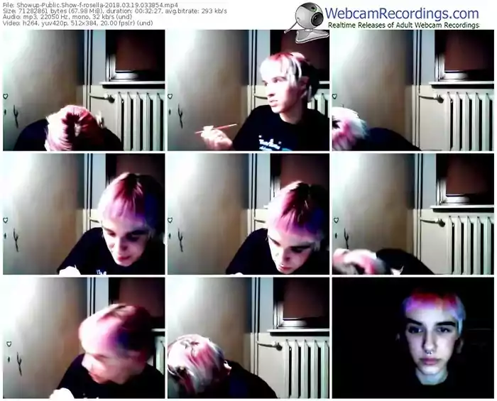 showup-rosella-webcam-show-03_19_2018-03_38_54