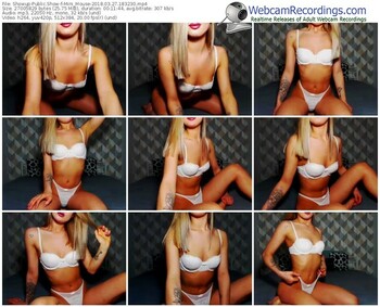 showup-mini_mouse-webcam-show-03_27_2018-18_32_30