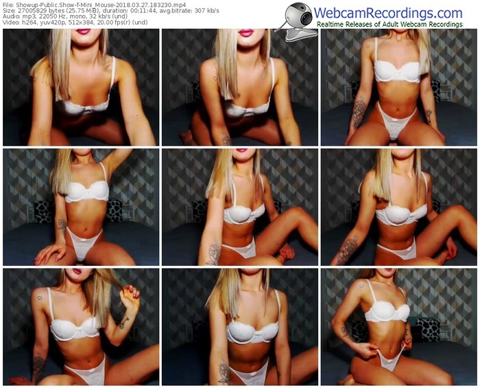 showup-mini_mouse-webcam-show-03_27_2018-18_32_30