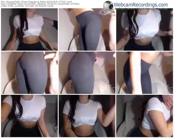 showup-napalona_parka-webcam-show-04_01_2018-17_50_21