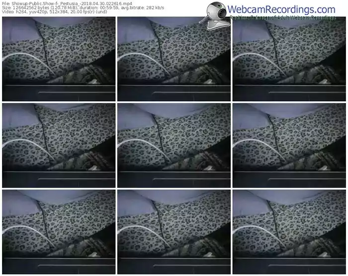 showup-_pestusia_-webcam-show-04_30_2018-02_26_16