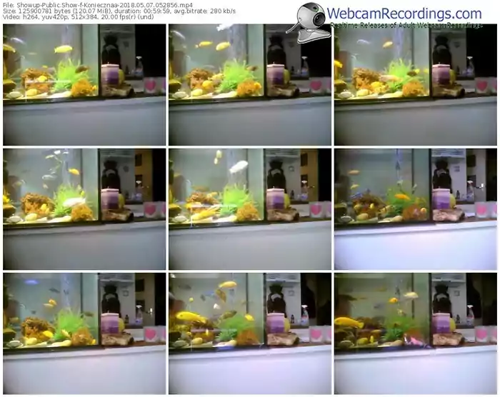 showup-koniecznaa-webcam-show-05_07_2018-05_28_56