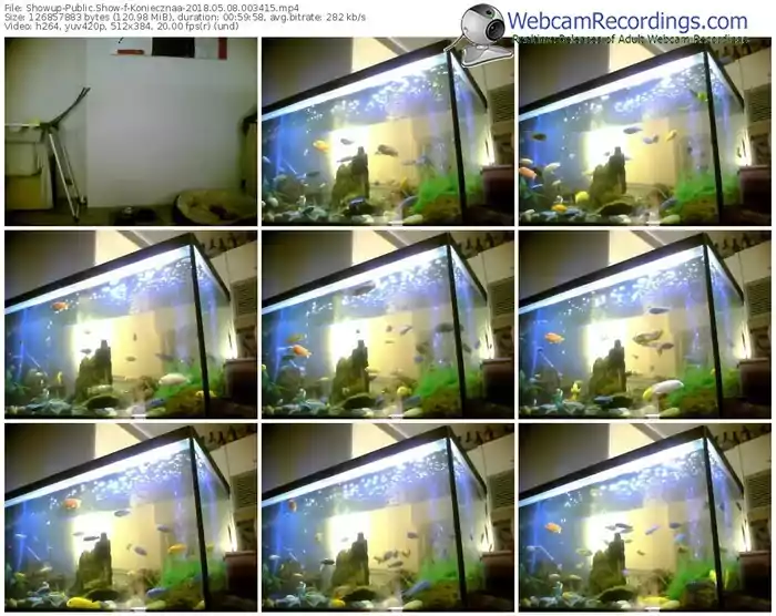 showup-koniecznaa-webcam-show-05_08_2018-00_34_15