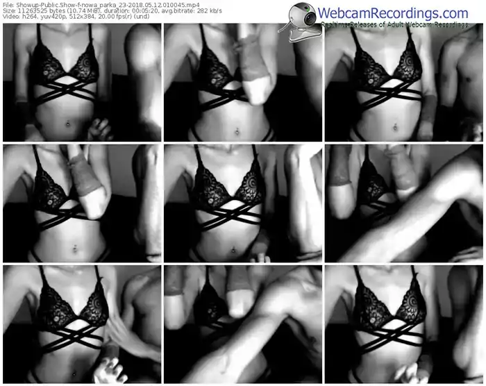 showup-nowa_parka_23-webcam-show-05_12_2018-01_00_45