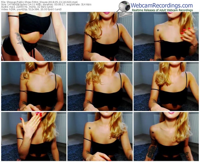 showup-mini_mouse-webcam-show-05_13_2018-14_16_20