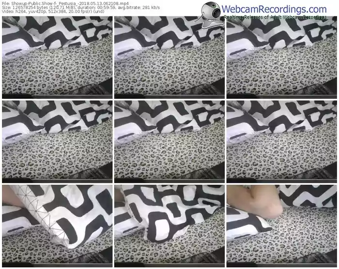 showup-_pestusia_-webcam-show-05_13_2018-06_21_08