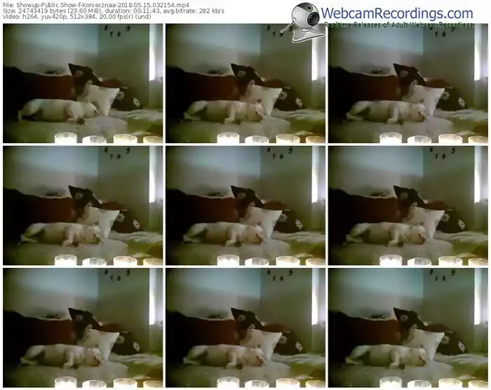 showup-koniecznaa-webcam-show-05_15_2018-03_21_54
