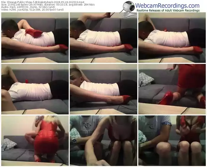 showup-dzikiekotyback-webcam-show-05_18_2018-20_23_16