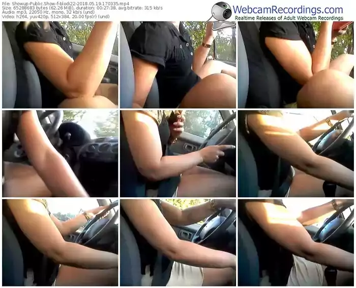 showup-blodi22-webcam-show-05_19_2018-17_03_35