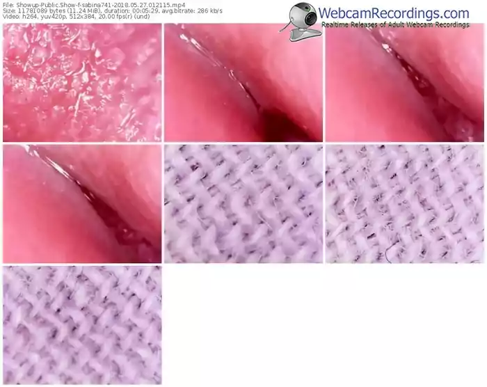 showup-sabina741-webcam-show-05_27_2018-01_21_15