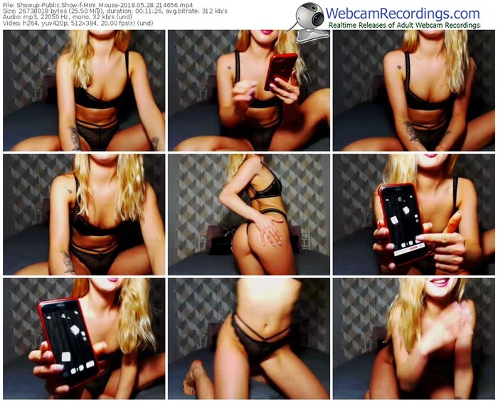 showup-mini_mouse-webcam-show-05_28_2018-21_46_56