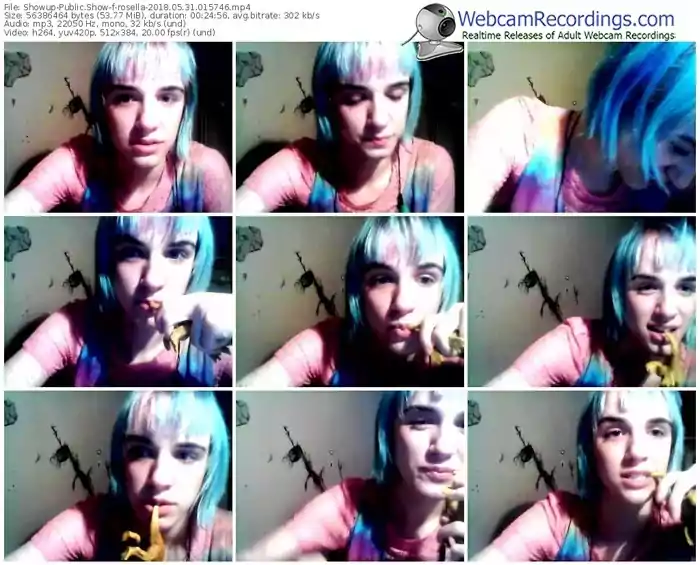 showup-rosella-webcam-show-05_31_2018-01_57_46