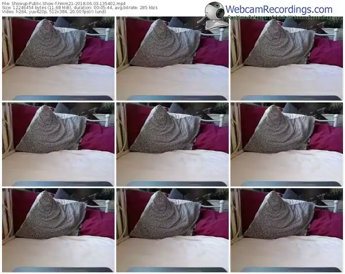 showup-hmm21-webcam-show-06_03_2018-13_54_02