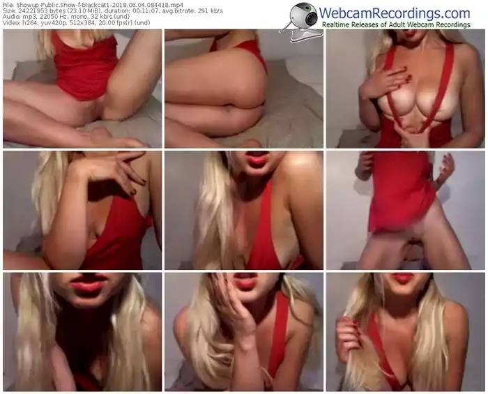 showup-blackcat1-webcam-show-06_04_2018-08_44_18