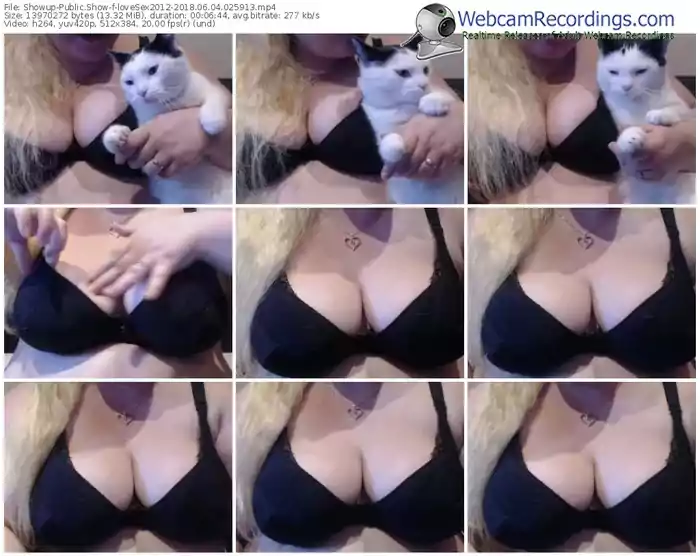 showup-lovesex2012-webcam-show-06_04_2018-02_59_13