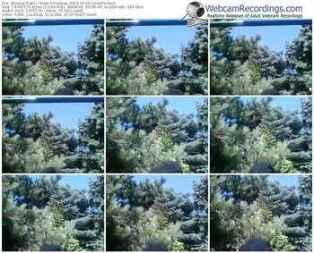 showup-freeway-webcam-show-06_06_2018-13_40_05