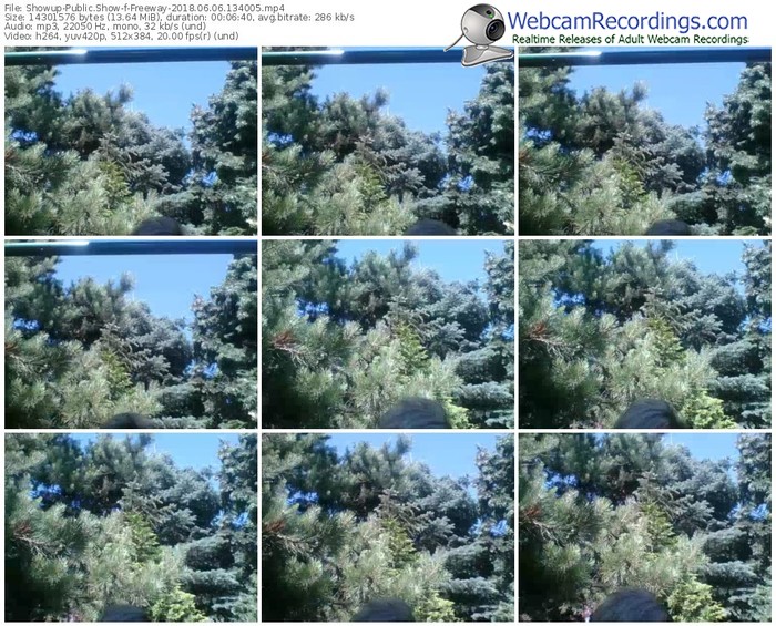 showup-freeway-webcam-show-06_06_2018-13_40_05