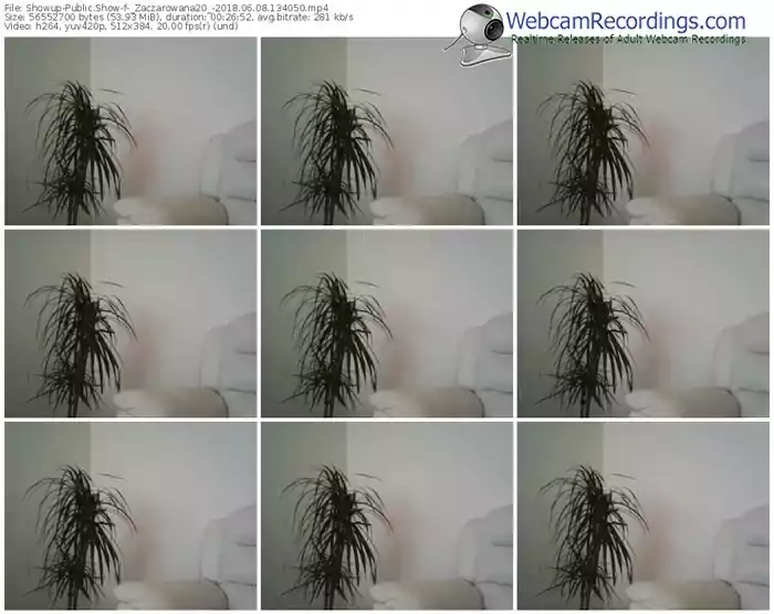 showup-_zaczarowana20_-webcam-show-06_08_2018-13_40_50