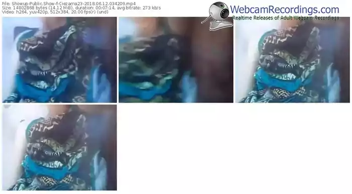 showup-ciezarna23-webcam-show-06_12_2018-03_42_09