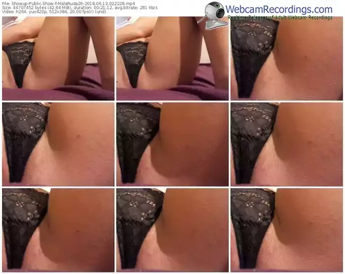 showup-malaruda26-webcam-show-06_13_2018-02_22_28