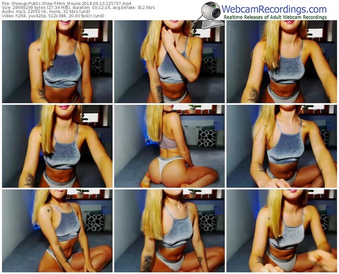 showup-mini_mouse-webcam-show-06_13_2018-12_57_37