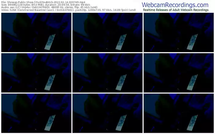 showup-fuckyoubitch-02_14_2022-02_07_49