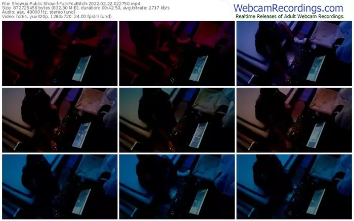 showup-fuckyoubitch-02_22_2022-02_27_50