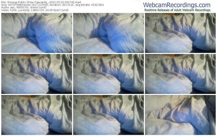 showup-gwiazda_-03_02_2022-09_27_42
