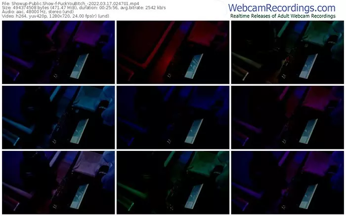 showup-fuckyoubitch_-03_17_2022-02_47_01