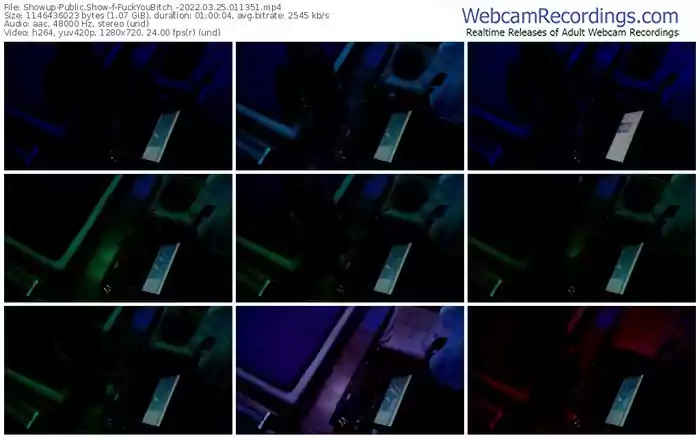 showup-fuckyoubitch_-03_25_2022-01_13_51