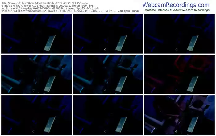 showup-fuckyoubitch_-03_25_2022-02_13_53