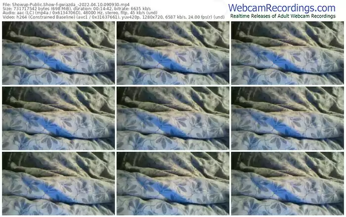 showup-gwiazda_-04_10_2022-09_09_30