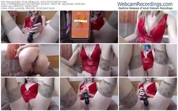 showup-babycat_-08-13-2022-10-07-10