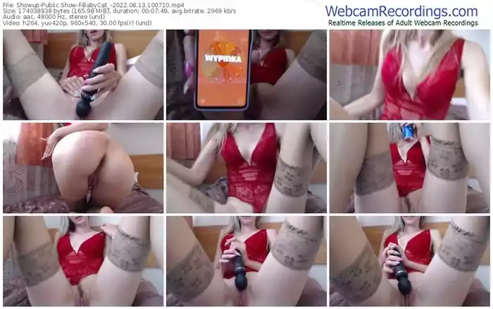 showup-babycat_-08-13-2022-10-07-10