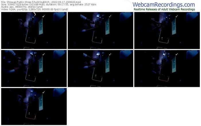 showup-fuckyoubitch_-09-17-2022-23-08-18
