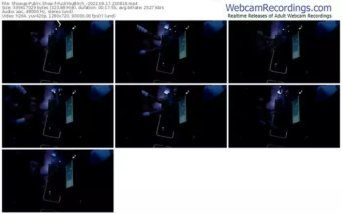 showup-fuckyoubitch_-09-17-2022-23-08-18