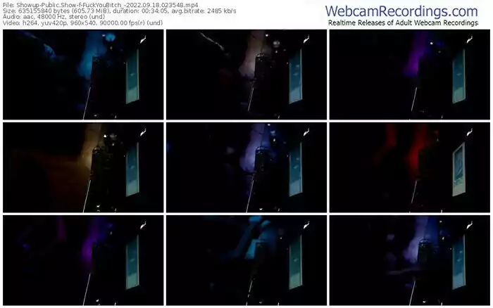 showup-fuckyoubitch_-09-18-2022-02-35-48