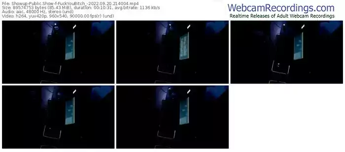 showup-fuckyoubitch_-09-20-2022-21-40-04