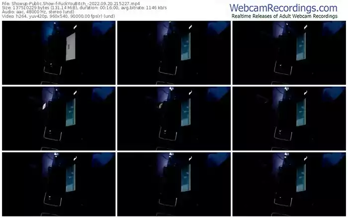 showup-fuckyoubitch_-09-20-2022-21-52-27