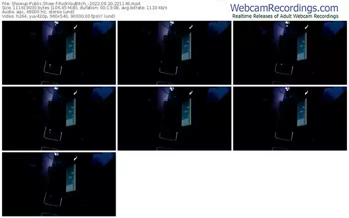 showup-fuckyoubitch_-09-20-2022-22-11-36