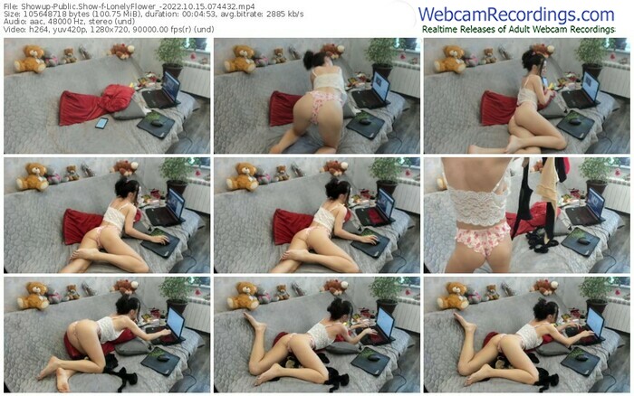 showup-lonelyflower_-10-15-2022-07-44-32