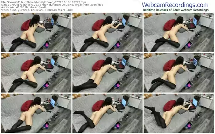 showup-lonelyflower_-10-16-2022-18-32-22