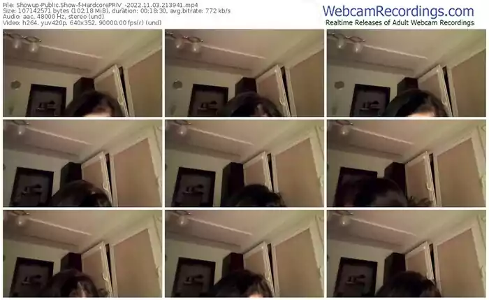 showup-hardcorepriv_-11-03-2022-21-39-41