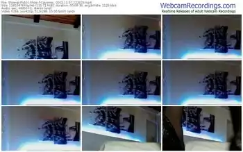 showup-cayenne_-11-07-2022-22-28-29