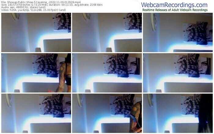 showup-cayenne_-11-09-2022-01-29-28