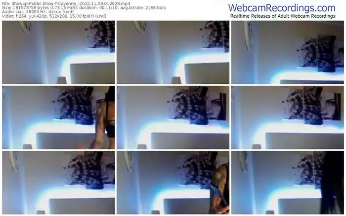 showup-cayenne_-11-09-2022-01-29-28