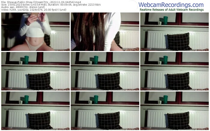 showup-dreamtits_-11-09-2022-04-45-42