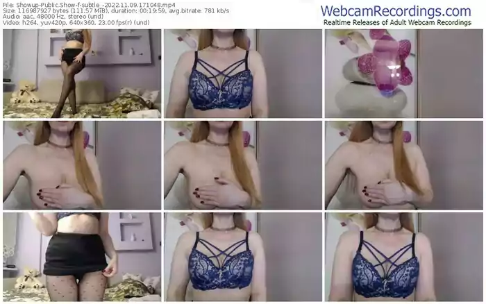 showup-subtle_-11-09-2022-17-10-48