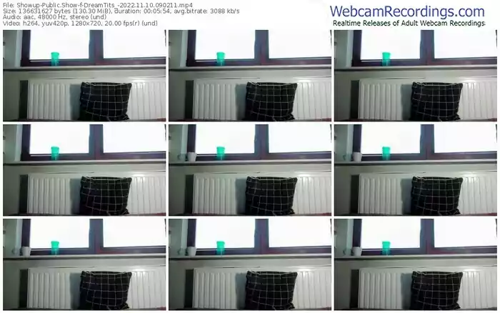 showup-dreamtits_-11-10-2022-09-02-11