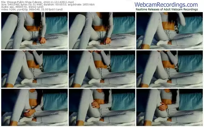 showup-desire_-11-10-2022-14-29-11